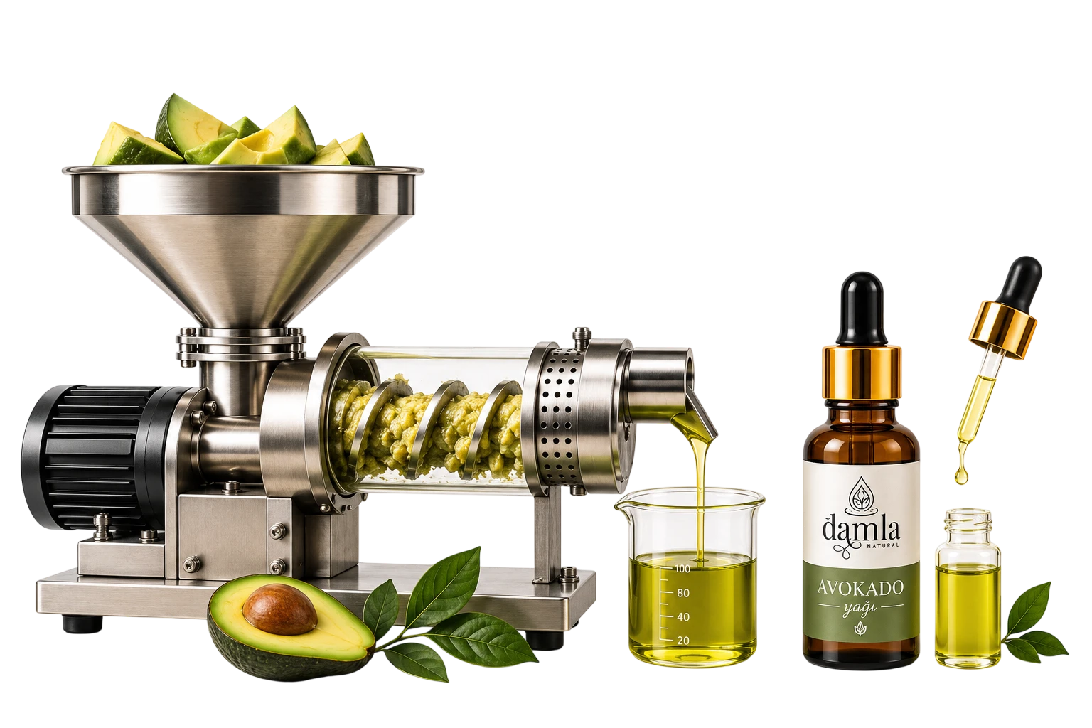 Damla Natural soğuk sıkım avokado yağı üretimi